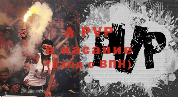 сатива Няндома