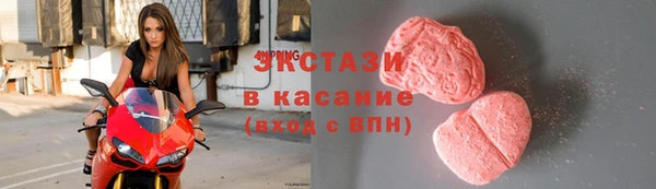 сатива Няндома