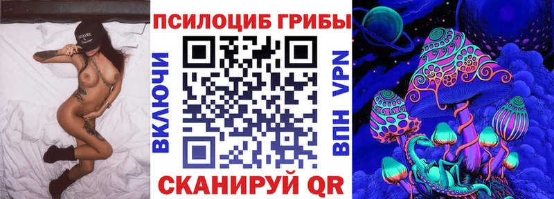 Купить где  Серов  Псилоцибиновые грибы GOLDEN TEACHER 